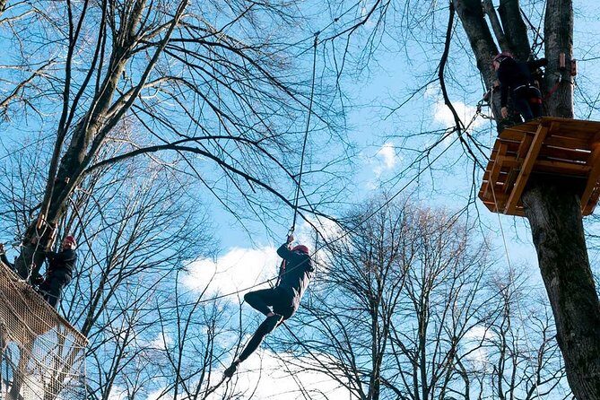 Adult Daily ticket for Adventure Park in Gravedona - Getting there without stress: car, campervan, and time in the mountains
