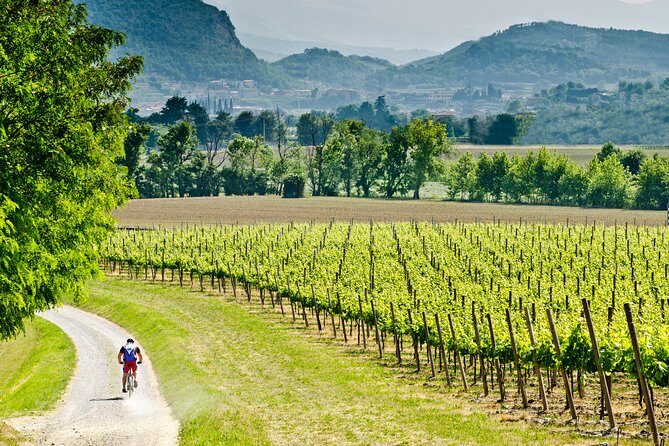 Bergamo and Franciacorta with lunch and cellar visit - Key Highlights to Know Before You Go