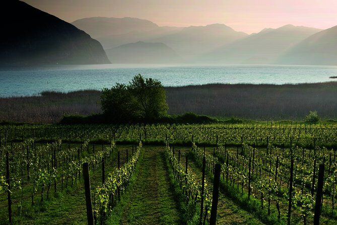 Bergamo and Franciacorta with lunch and cellar visit - Franciacorta Wine Route: Winery Tour and Two DOCG Tastings