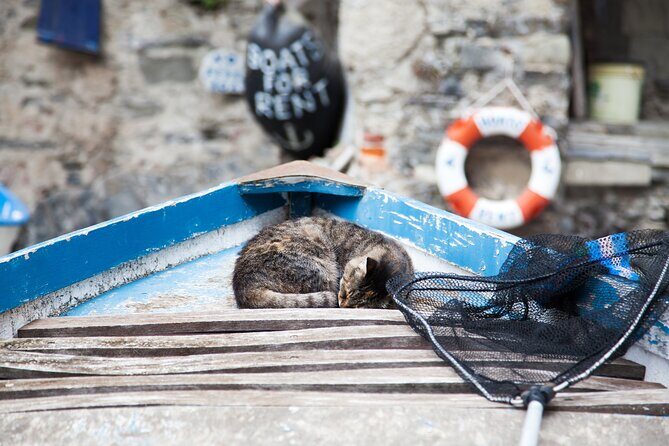 Cinque Terre Day Trip from Milan: Italian Riviera Escape - The private guide effect: better routes, better pacing, better food stops