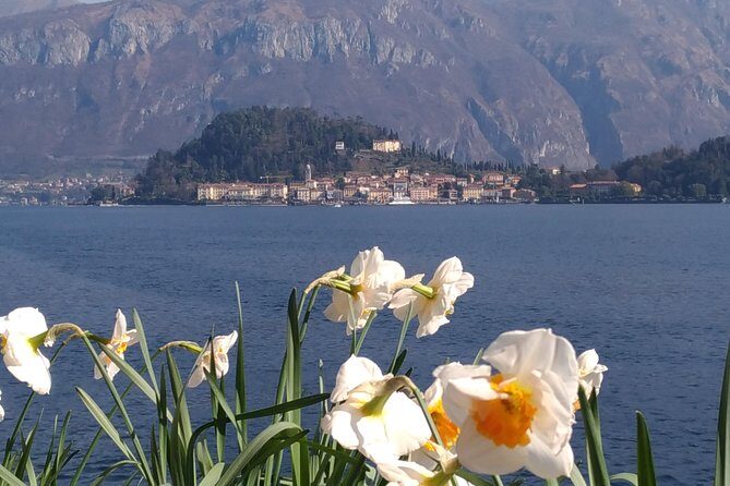 Day tour from Milan: Lake Como & Bellagio Cruise- Semi private - How semi private pacing works (and why it feels different)