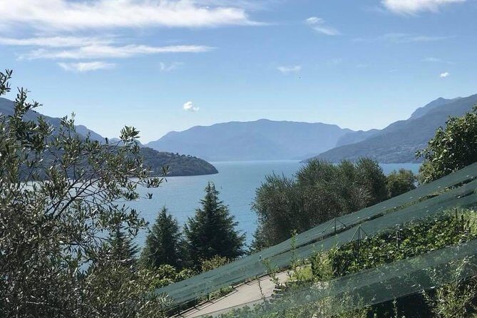 Domaso: Wine Tasting at the Winery on Como Lake - The Three-Wine Tasting: What You’ll Drink and Why It Works