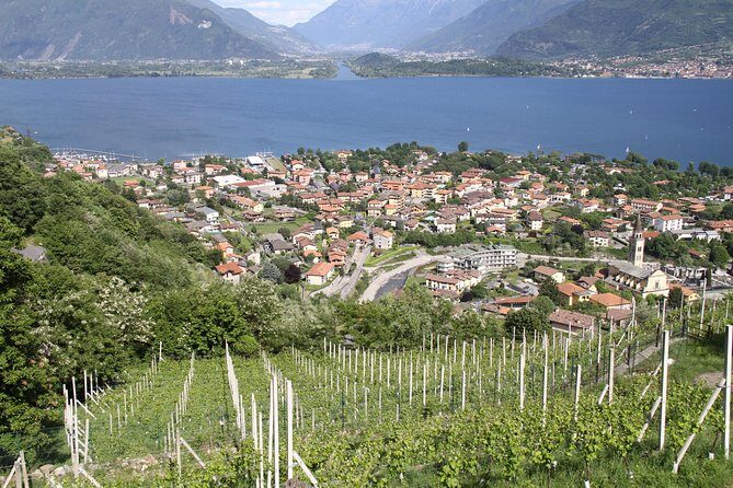 Domaso: Wine Tasting at the Winery on Como Lake - Getting There: Boat, Bus, or Car (and the Hilltop Factor)