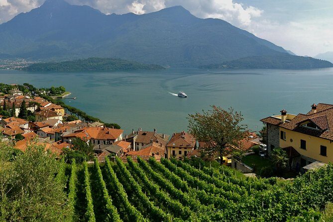 Domaso: Wine Tasting at the Winery on Como Lake - Who This Winery Experience Fits Best
