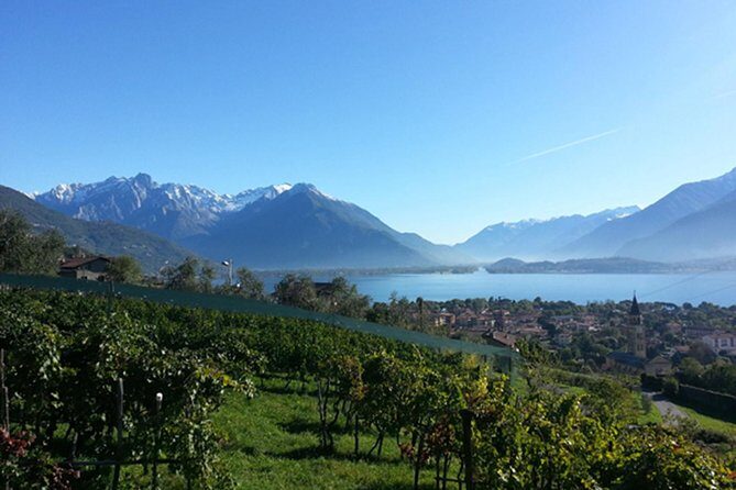Domaso: Wine Tasting at the Winery on Como Lake - How the Winery Visit Actually Plays Out (Cellars First, Then Sips)