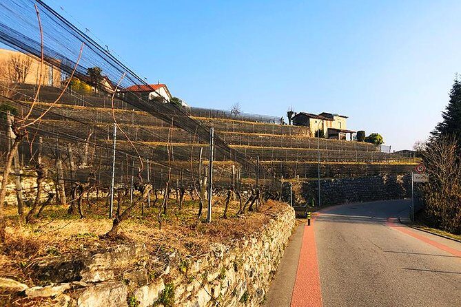 E-Bike Tour Lake Como and Swiss Vineyards - La Riva Square in Cernobbio: Panoramic Lake Photos and Quick Tales