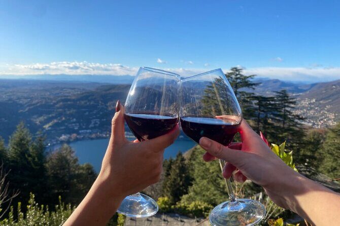 Exclusive wine tasting in Brunate - Key points at a glance