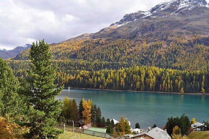 From Lake Como or Milan: Bernina Red Train Tour - Quick hits you can bank on