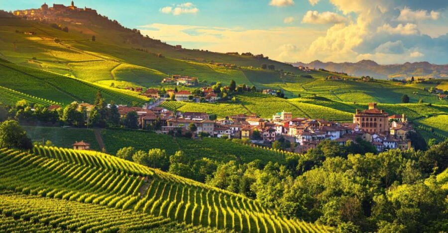 From Milan: Barolo Wine Tasting, Alba Tour and Castle Visit - Key highlights you’ll care about
