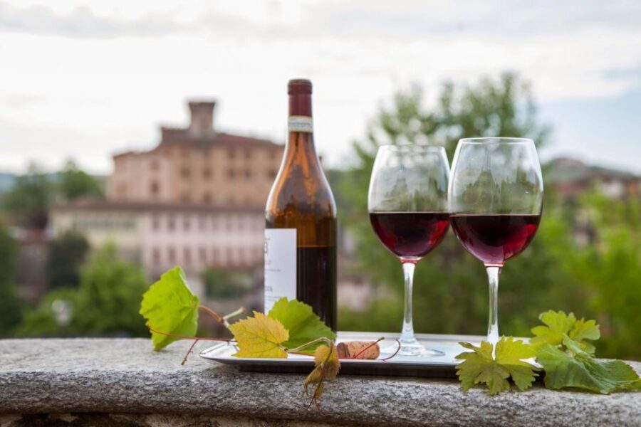 From Milan: Barolo Wine Tasting, Alba Tour and Castle Visit - Who should book (and who might skip it)