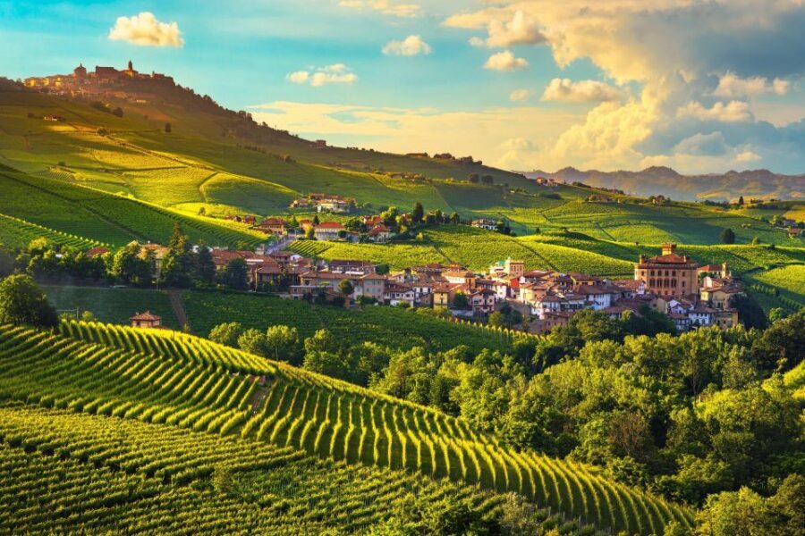 From Milan: Barolo Wine Tasting, Alba Tour and Castle Visit - Family-run winery tasting in the Langhe hills