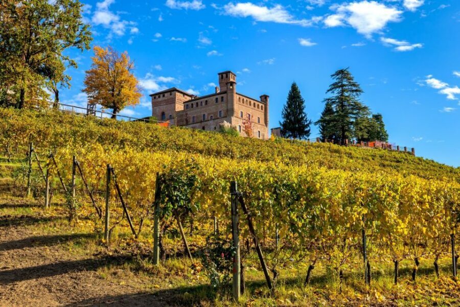 From Milan: Barolo Wine Tasting, Alba Tour and Castle Visit - A UNESCO castle stop for vineyard panoramas