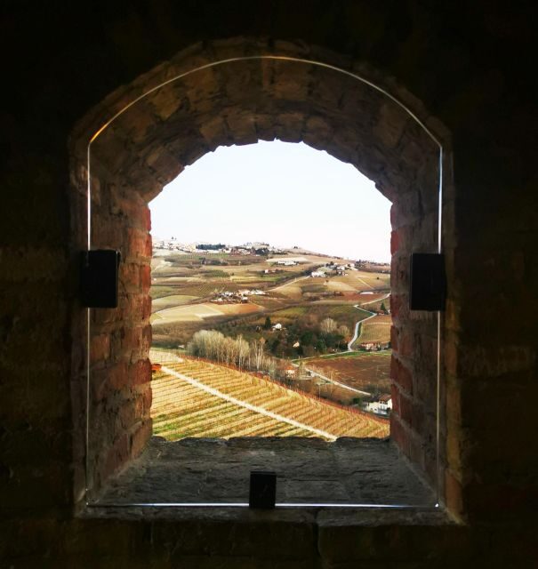 From Milan: Barolo Wine Tasting, Alba Tour and Castle Visit - Price and value: is $225.44 worth it?