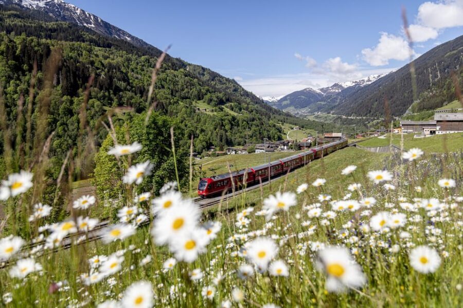 From Milan: Bernina Red Train to St Moritz Guided Tour - The big idea: a guided Bernina day trip that actually feels organized