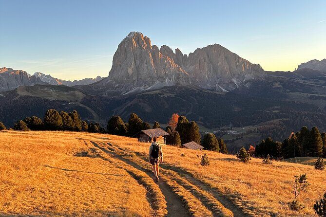 From Milan/Como/Varenna: Panoramic Hiking Tours near Lake Como - Group Tour Reality: Private by Design, Flexible by Need