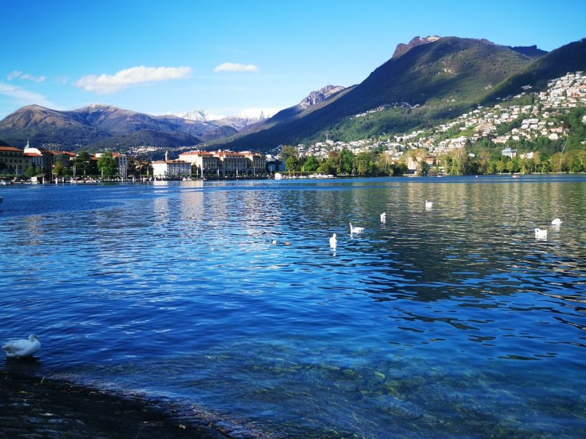 From Milan: Small Group Tour of Lake Como, Lugano & Pre Alps - The Lake Lugano swim moment: bring swimwear, but don’t force it