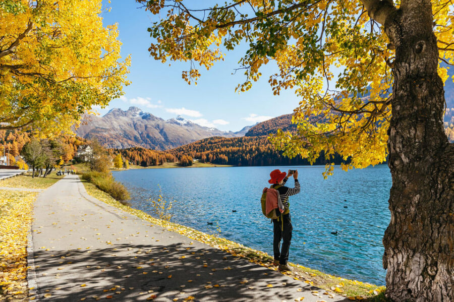 From Milan: St. Moritz and Panoramic Bernina Express Tour - Key points before you go