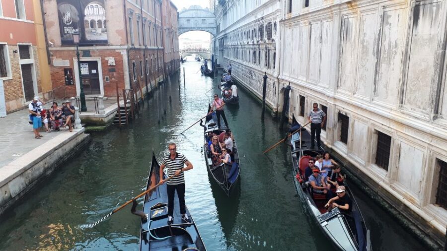 From Milan: Venice City Highlights Guided Day Trip - Why this Milan-to-Venice day trip feels so complete