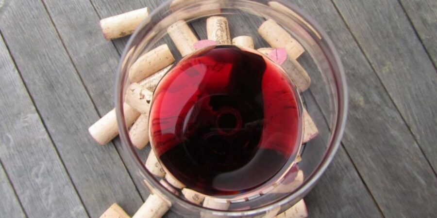 Full-Day Barbaresco Wine Tour with Truffle Hunting and Lunch - How the 8-hour private day in Piedmont really works