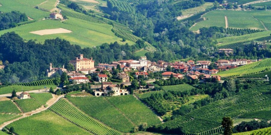Full-Day Barbaresco Wine Tour with Truffle Hunting and Lunch - The Barbaresco town finish: vineyards and medieval fortresses
