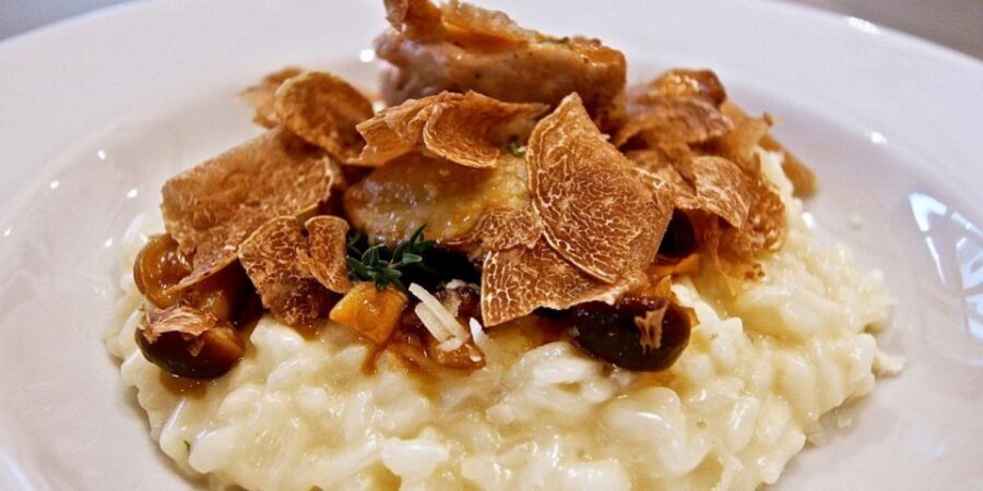 Full-Day Barbaresco Wine Tour with Truffle Hunting and Lunch - Price and value: what $968.88 per person buys you