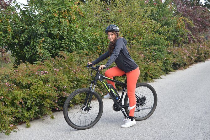 Guided e-bike tour on Lake Como - The shoreline route: why this beats tunnels and timetables