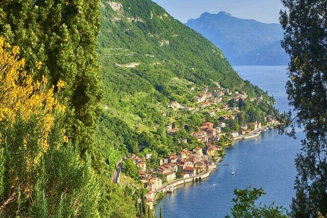Lake Como from Milan: Varenna, Bellagio, and the Iconic Villa - Villa Carlotta at Tremezzina: gardens that steal the show