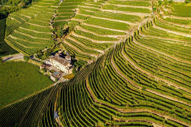 Lake Como & UNESCO Dry-stone Walls Vineyards - Lake Como plus UNESCO terraces: how this day is paced