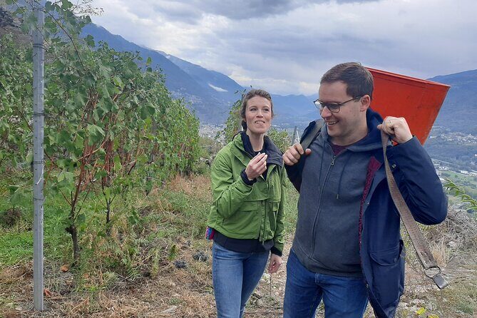 Lake Como & UNESCO Dry-stone Walls Vineyards - Valtellina Valley and UNESCO dry-stone walls: the meaning behind the vineyards
