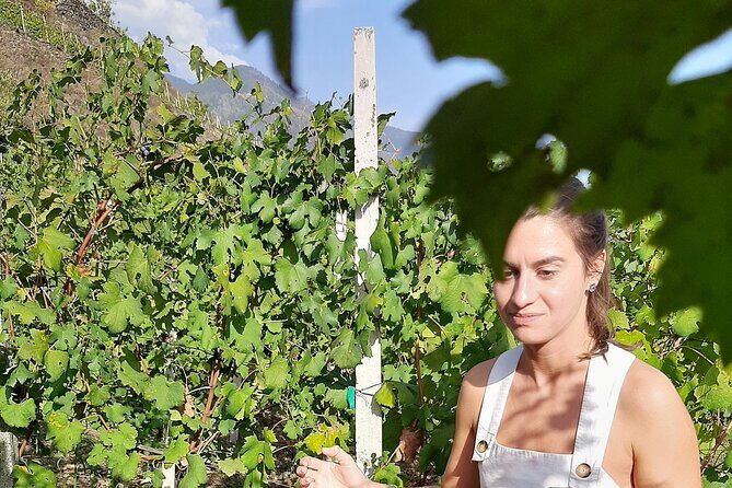 Lake Como & UNESCO Dry-stone Walls Vineyards - What the small-group size changes for you