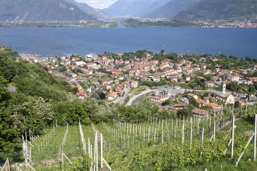 Lake Como: Winery Tour with Wine Tasting - Key Things You’ll Notice on This Lake Como Winery Tasting