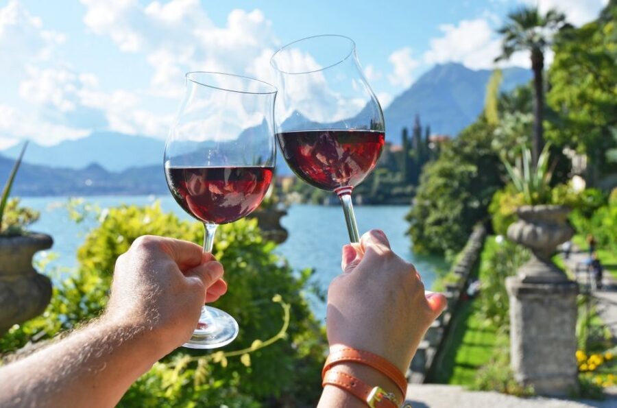Lake Como: Winery Tour with Wine Tasting - Domaso Winery Visit: Where the Views and Wine Meet