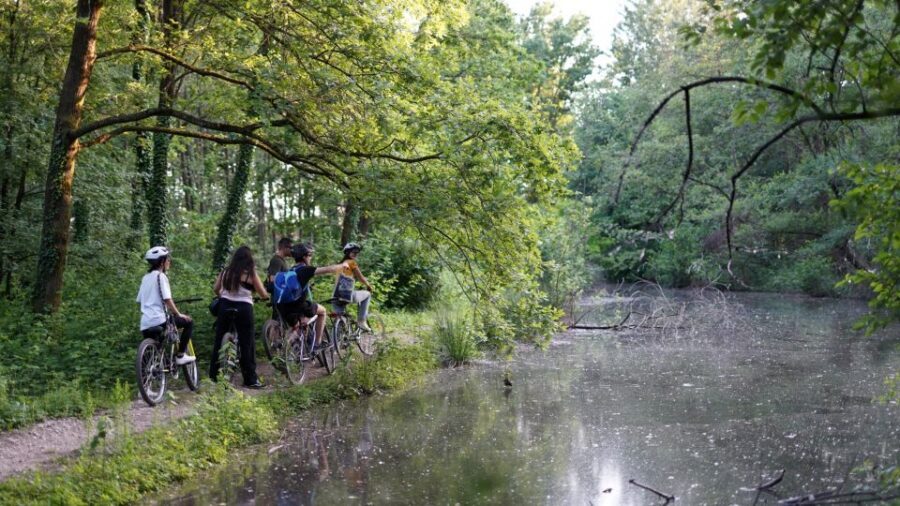 Milan: Bike Tour with Picnic on the turtle lake - Milan’s calm green side: what this bike tour feels like