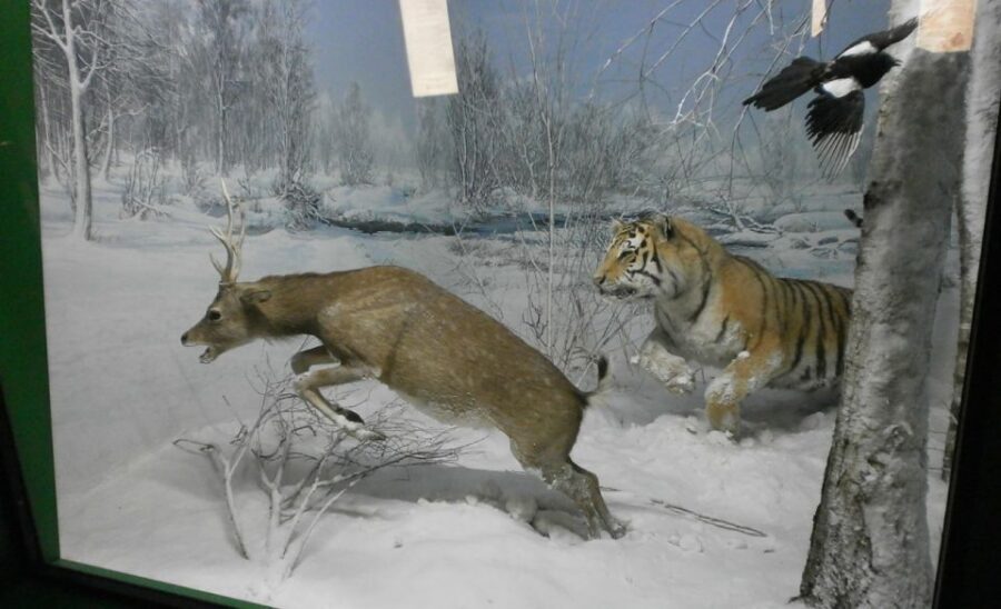Milan: Natural History Museum Entry Ticket & Audio Guide - The Building and the Public Gardens: A Great Milan Pairing