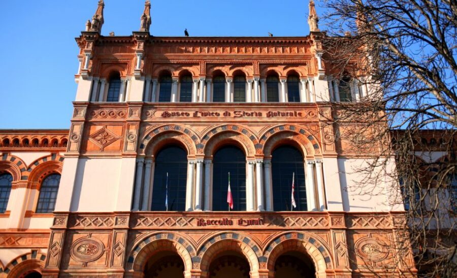 Milan: Natural History Museum Entry Ticket & Audio Guide - Who This Works Best For (and Who Might Want a Different Option)