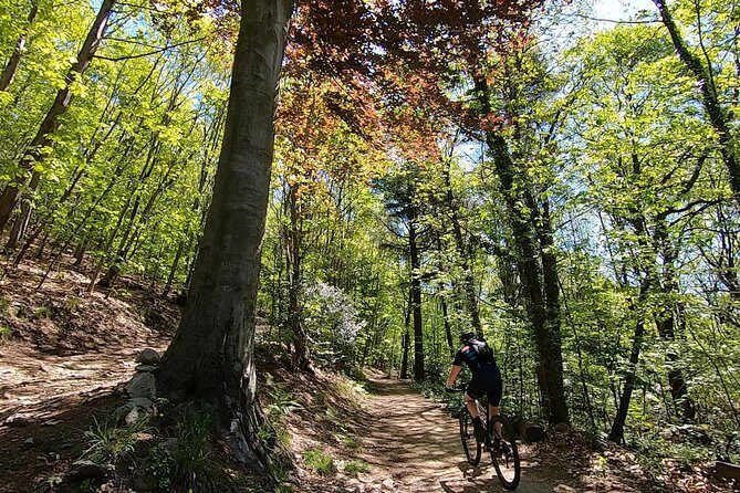 Mountain Bike tour in Spina Verde natural park - Key things that make this ride worth it