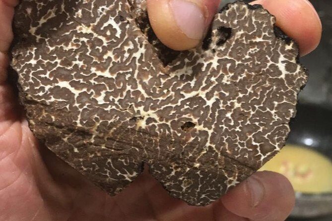 Private Hunting Of Truffle And Mushrooms With Chef Luigi Gandola In Bellagio - Back to Bellagio: Harvest-To-Table Cooking With Lombardy Wine