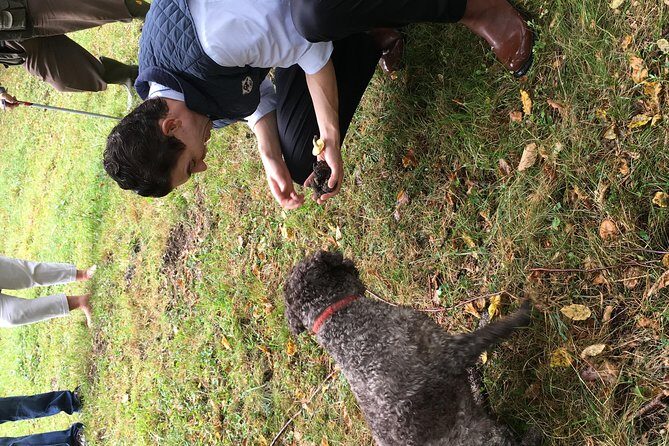 Private Hunting Of Truffle And Mushrooms With Chef Luigi Gandola In Bellagio - How Long It Takes, And How To Pace Your Day