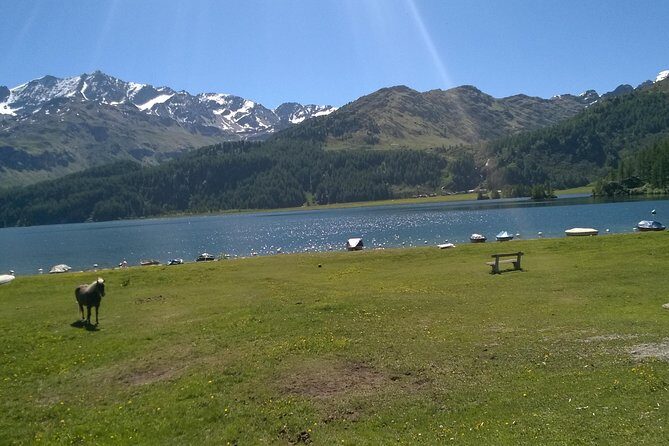 Private tour to Bernina train & Lake Como. Hotel pick-up - Price and value: why $1,245 can make sense for this route