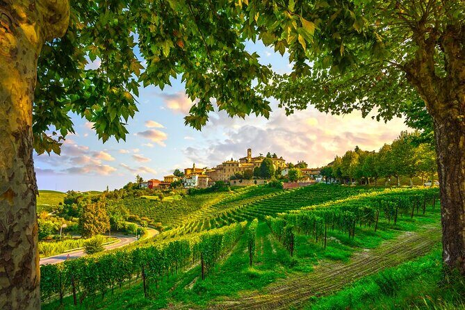 Small-Group Barolo Wine Tasting, Alba & UNESCO Piedmont Hills - Inside the Barolo region: what “strict rules” really mean