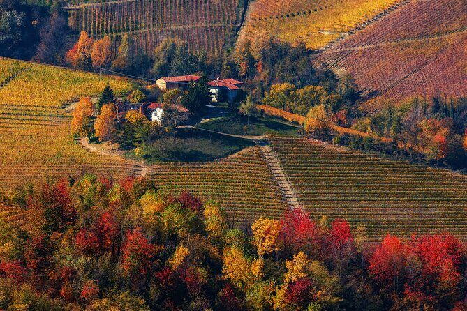 Small-Group Barolo Wine Tasting, Alba & UNESCO Piedmont Hills - Taste Barolo like a local: learning terms you’ll actually use