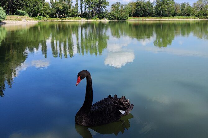The Milan you don't expect, bike tour with picnic on the lake - Key things to know before you go